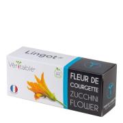 Véritable - Lingot Frö refill Zucchiniblomma