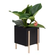 Design House Stockholm - Botanic Kruka 18×20×25 cm