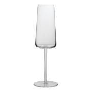 Magnor - Tokyo Wine Champagneglas 30 cl Klar