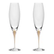 Orrefors - Intermezzo Guld Champagne 26 cl 2-pack