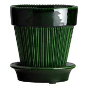 Bergs Potter - Simona Kruka/fat 14 cm Grön emerald