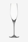 Spiegelau - Champagneglas Authentis 19 cl, 4-pack - Transparent - Ving...