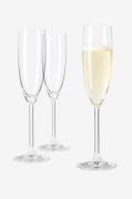 Leonardo - Champagneglas DAILY 6-pack - Transparent - Vinglas - Från H...