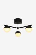 Nordlux - Taklampa Contina - Svart - Spotlights - Från Homeroom