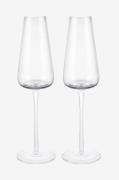 Blomus - Belo Champagneglas 20 cl 2-pack Clear - Transparent - Vinglas...
