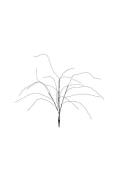 Star Trading - Dekoration Reedy 90cm 160L - Svart - Julpynt - Från Hom...