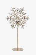 Markslöjd - Bord Star Fiocco 1L - Mässing - Adventsstjärnor - Från Hom...