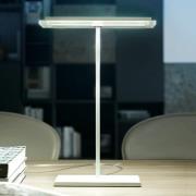 Linea Light Platta LED-bordslampa Dublight LED