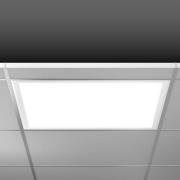 BEGA RZB Sidelite Eco LED-panel DALI 62,2cm 29W 840