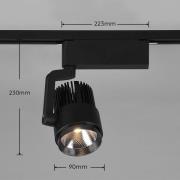 Trio Lighting LED track spot Radiator för DUOline, matt svart, CCT