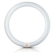 Philips G10q 40W 830 lysrörsring Master Circular TL-E