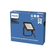 Philips ProjectLine LED-spot utomhus 6 500 K 20 W
