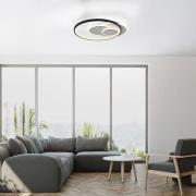 Paul Neuhaus Mailak LED-taklampa, rund