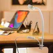 Lindby klämlampa Jyla, vit, 2 700 K, GX53