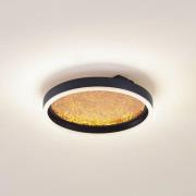 Lucande LED-taklampa Menulis, svart/guld, PC, Ø 30 cm