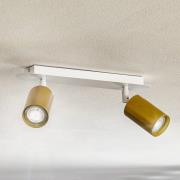 EMIBIG LIGHTING Takspotlight Zen 2 med 2 spottar, vit-guld