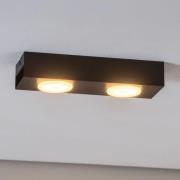 Luminex Downlight Ian i svart, 2 lampor