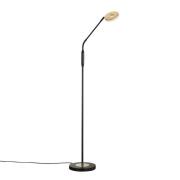 FISCHER & HONSEL LED-golvlampa Dent, svart/guld blad, 150 cm, CCT, 1 l...