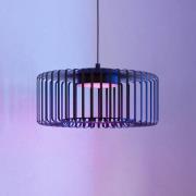 EGLO connect LED-hänglampa Ginestrone-Z, 1 lampa, svart