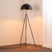 Opviq Golvlampa Can-NT-113-1, svart metallstativ, höjd 170 cm