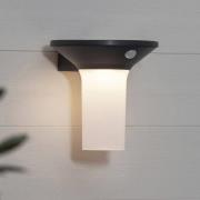 STAR TRADING Valta LED solcellsbelysning med rörelsesensor