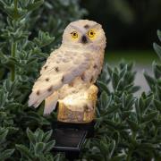 STAR TRADING LED-solcellslampa Owl med markspett