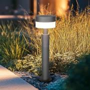 Trio Lighting LED-sockellampa Mackenzie, höjd 50 cm, antracit, gjuten ...