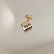 Argon Takspotlight Chloe, svängbar, 1 lampa, stål mässingsfärgad