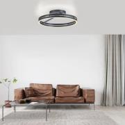 PURE LED-taklampa Loop, grå, metall, Ø 60 cm, CCT
