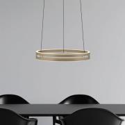 PURE LED-hänglampa E-Loop, brons, Ø 50 cm, aluminium CCT