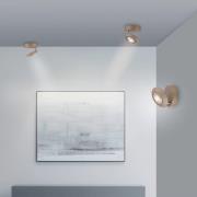 PURE LED-taklampa Oculis bronsfärgad, Ø 15 cm järn/glas