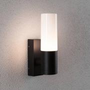 Paulmann utomhusvägglampa Tralia, antracit, höjd 25 cm IP44
