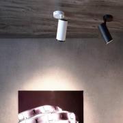Deko-Light LED-takspotlight Lucea, justerbar, 10 W vit