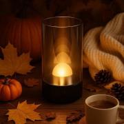 FH Lighting LED-batteridriven bordslampa Fenya, svart/rökgrå Höjd 14 c...