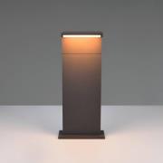 Trio Lighting LED-sockellampa Ravi, antracit, höjd 50 cm, metall, IP65
