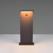 Trio Lighting LED-sockellampa Ravi, antracit, höjd 50 cm, sensor, IP54