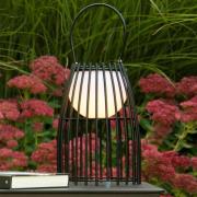 Lucide LED-bordslampa Fjara, svart