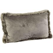 Artwood - GREY BEAR VELBOA Kuddfodral 60x40 cm