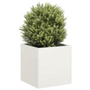 vidaXL Odlingslåda vit 40x40x40 cm kallvalsat stål
