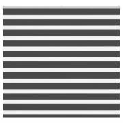 vidaXL Rullgardin zebra svart 160x100 cm tyg bredd 155,9cm polyester