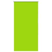 vidaXL Rullgardin mörkläggning blad grön 65x150 cm tyg bredd 60,7 cm