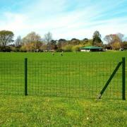 vidaXL Eurofence stål 10 x 1,5 m grön