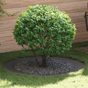 vidaXL Svart Planter Set Svart Plast Stor Hållbar Svart Planter Rund