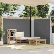 vidaXL Infällbar sidomarkis antracit 140x600 cm