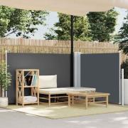 vidaXL Infällbar sidomarkis antracit 100x600 cm