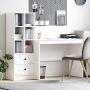 vidaXL Skrivbord med förvaring med låda 2 pcs Vit 100 x 50 x 76 cm