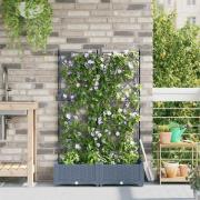 vidaXL Trädgårdsplanterare med trellis 2 pcs Ljusgrå