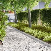 vidaXL Kant för gräsmatta 20 pcs Silver 100 x 0,05 x 20 cm