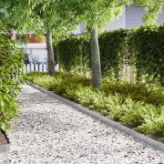 vidaXL Kant för gräsmatta 50 pcs Silver 100 x 0,05 x 20 cm