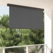 vidaXL Utomhus rullgardin Striped Manuell Antracit 200 x 250 cm tyg